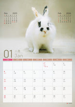 將圖片載入圖庫檢視器 【慈善義賣・兔協慈善月曆】攜手為愛發光！
