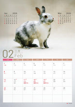 將圖片載入圖庫檢視器 【慈善義賣・兔協慈善月曆】攜手為愛發光！
