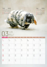 將圖片載入圖庫檢視器 【慈善義賣・兔協慈善月曆】攜手為愛發光！
