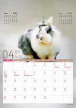 將圖片載入圖庫檢視器 【慈善義賣・兔協慈善月曆】攜手為愛發光！
