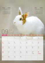 將圖片載入圖庫檢視器 【慈善義賣・兔協慈善月曆】攜手為愛發光！
