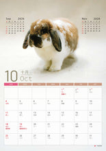 將圖片載入圖庫檢視器 【慈善義賣・兔協慈善月曆】攜手為愛發光！
