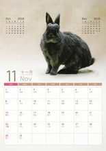 將圖片載入圖庫檢視器 【慈善義賣・兔協慈善月曆】攜手為愛發光！
