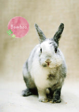 將圖片載入圖庫檢視器 【慈善義賣・兔協慈善月曆】攜手為愛發光！
