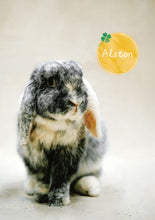 將圖片載入圖庫檢視器 【慈善義賣・兔協慈善月曆】攜手為愛發光！
