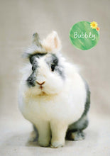 將圖片載入圖庫檢視器 【慈善義賣・兔協慈善月曆】攜手為愛發光！
