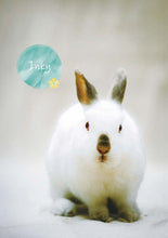 將圖片載入圖庫檢視器 【慈善義賣・兔協慈善月曆】攜手為愛發光！
