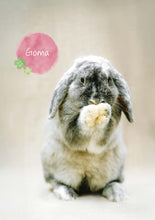 將圖片載入圖庫檢視器 【慈善義賣・兔協慈善月曆】攜手為愛發光！
