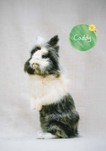 將圖片載入圖庫檢視器 【慈善義賣・兔協慈善月曆】攜手為愛發光！
